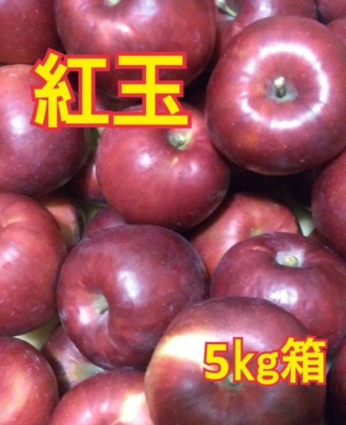 画像1: 紅玉５ｋｇサイズ箱 【送料込み】 (1)