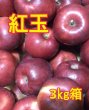 画像1: 紅玉３ｋｇサイズ箱 【送料込み】 (1)