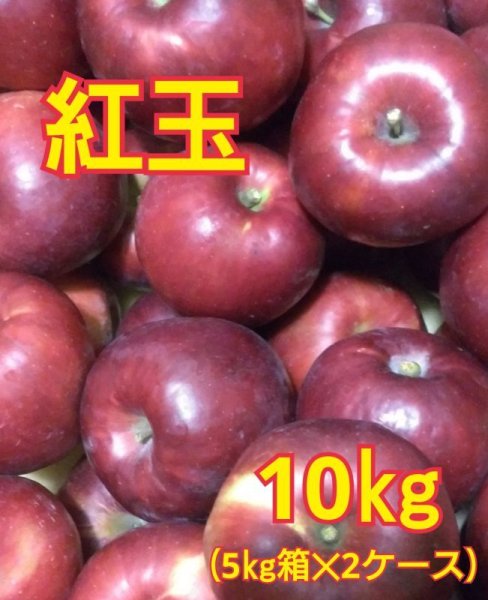 画像1: 紅玉１０キロ（５ｋｇサイズ箱２ケース） 【送料込み】 (1)