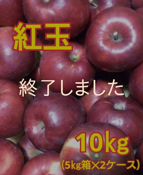 画像1: 紅玉１０キロ（５ｋｇサイズ箱２ケース） 【送料込み】 (1)